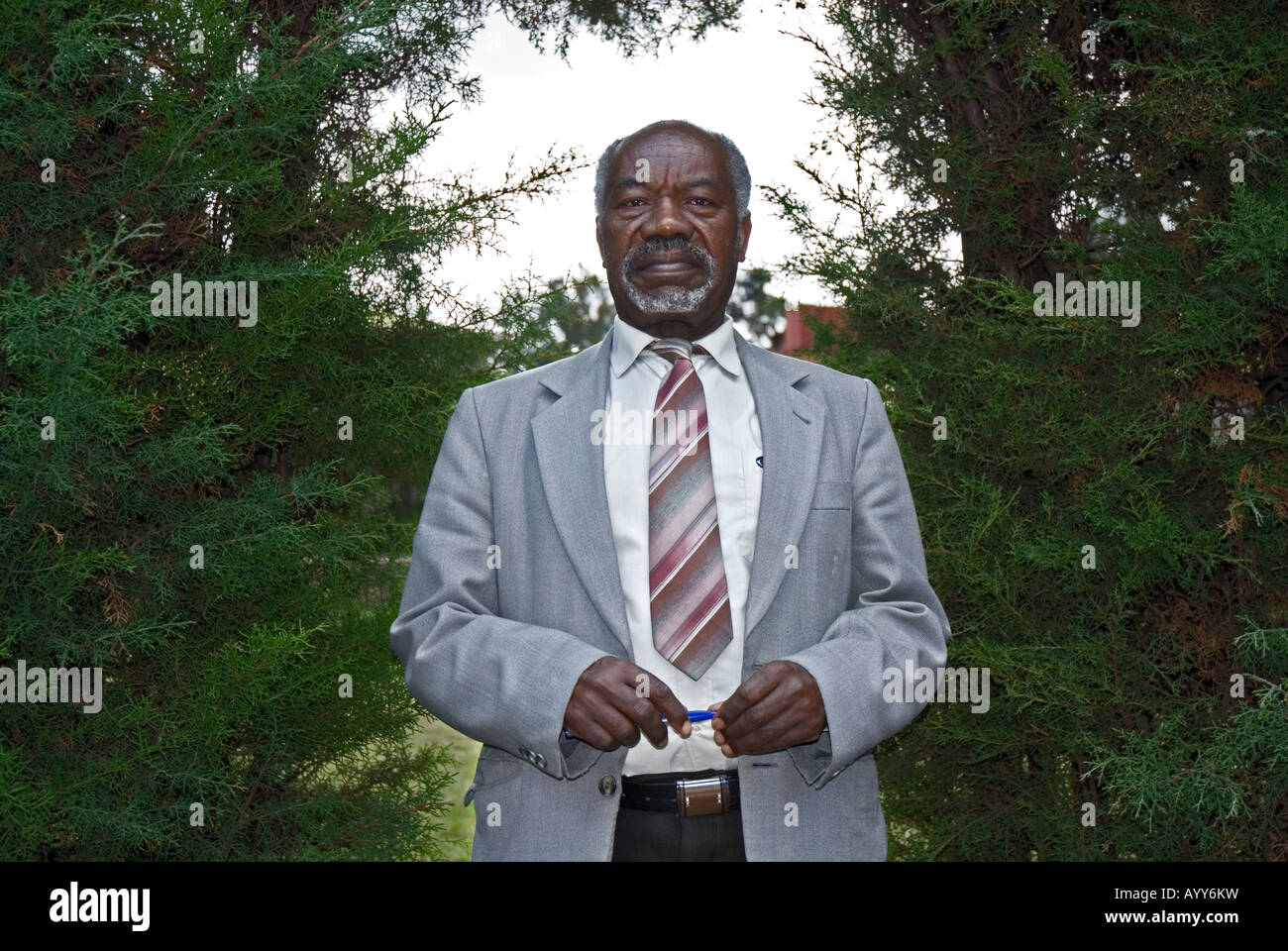 Portrait of an Ethiopian accountant, Addis Abeba, Ethiopia Stock Photo