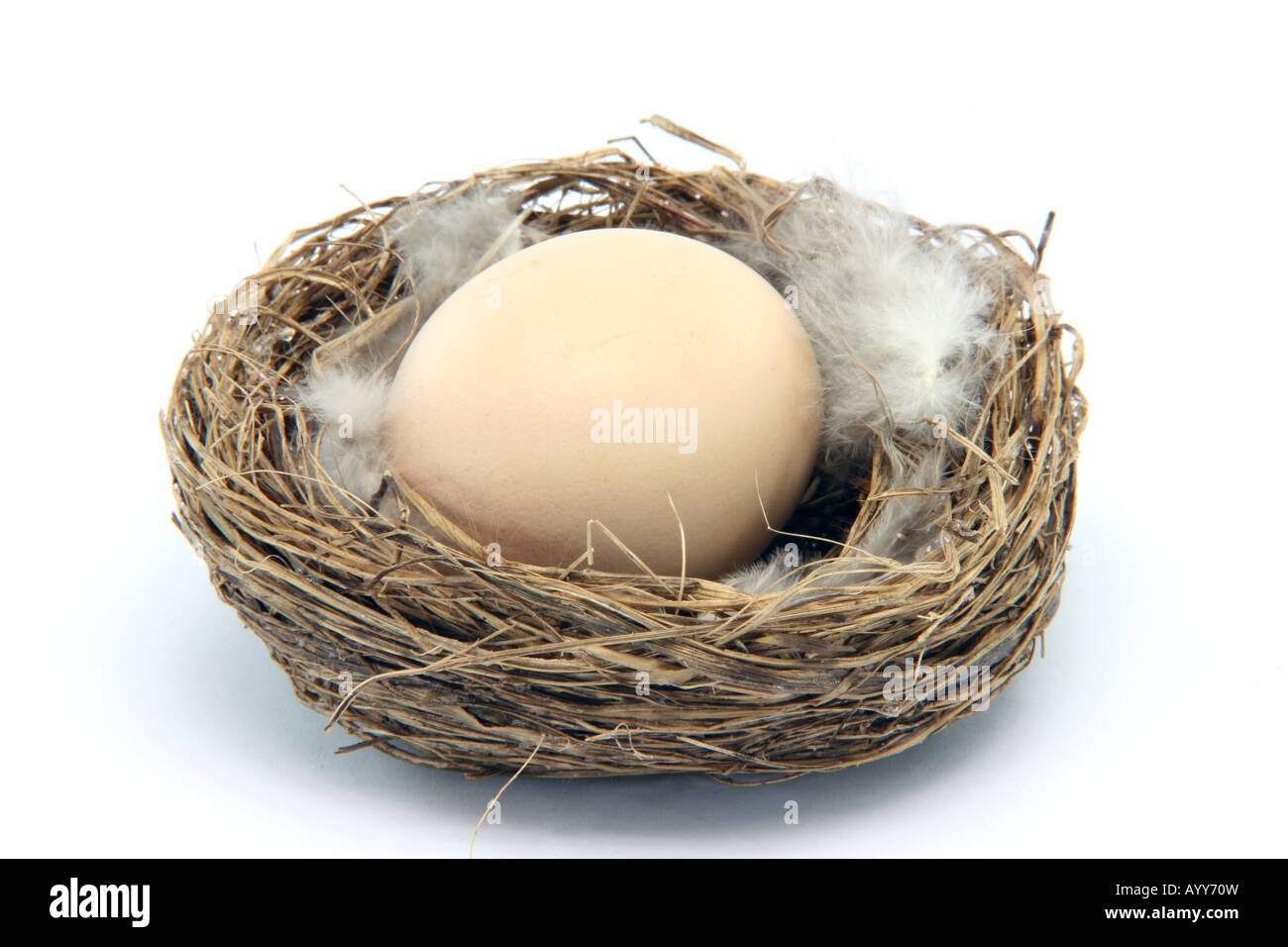 brown egg in a nest with feathers isolated on white background Stock ...