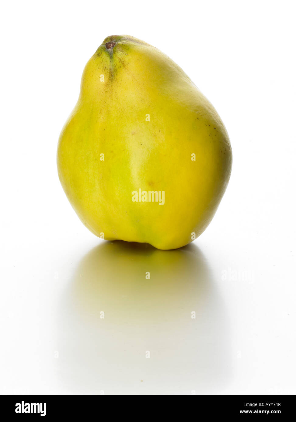 quince whole Stock Photo