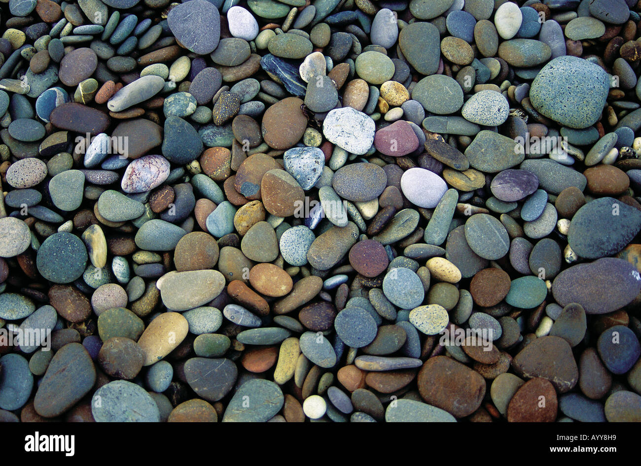 pebbles on a beach Stock Photo