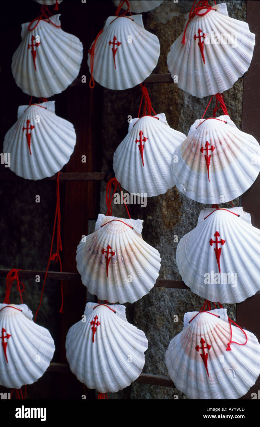 Scallop shells are the symbol of St James and carried by pilgrims on