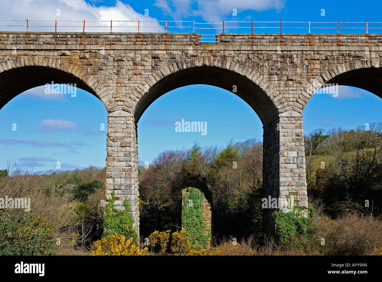 the railway viaduct at chacewater near truro,cornwall,england Stock Photo