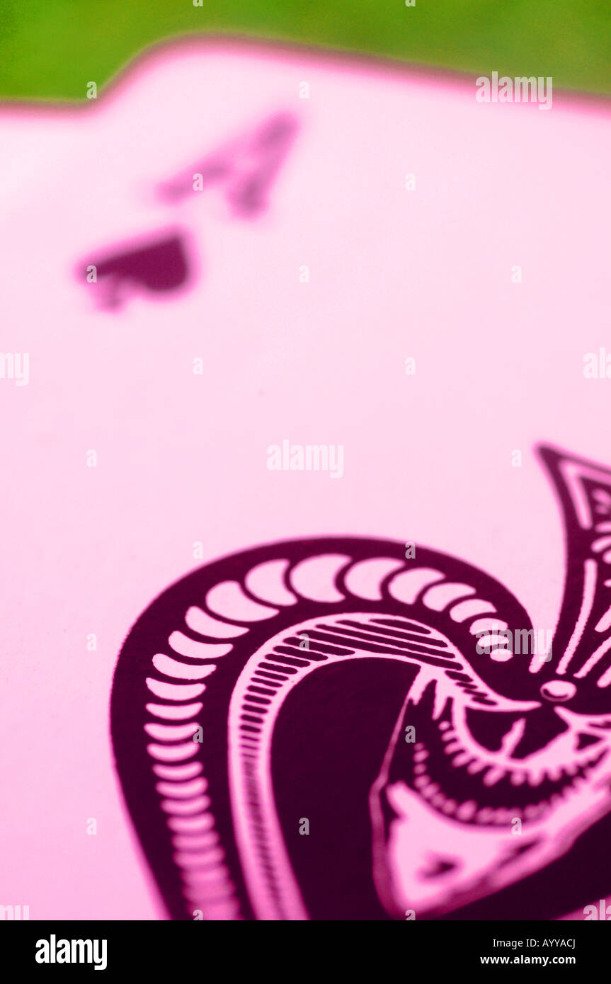 ace of spades Stock Photo Alamy