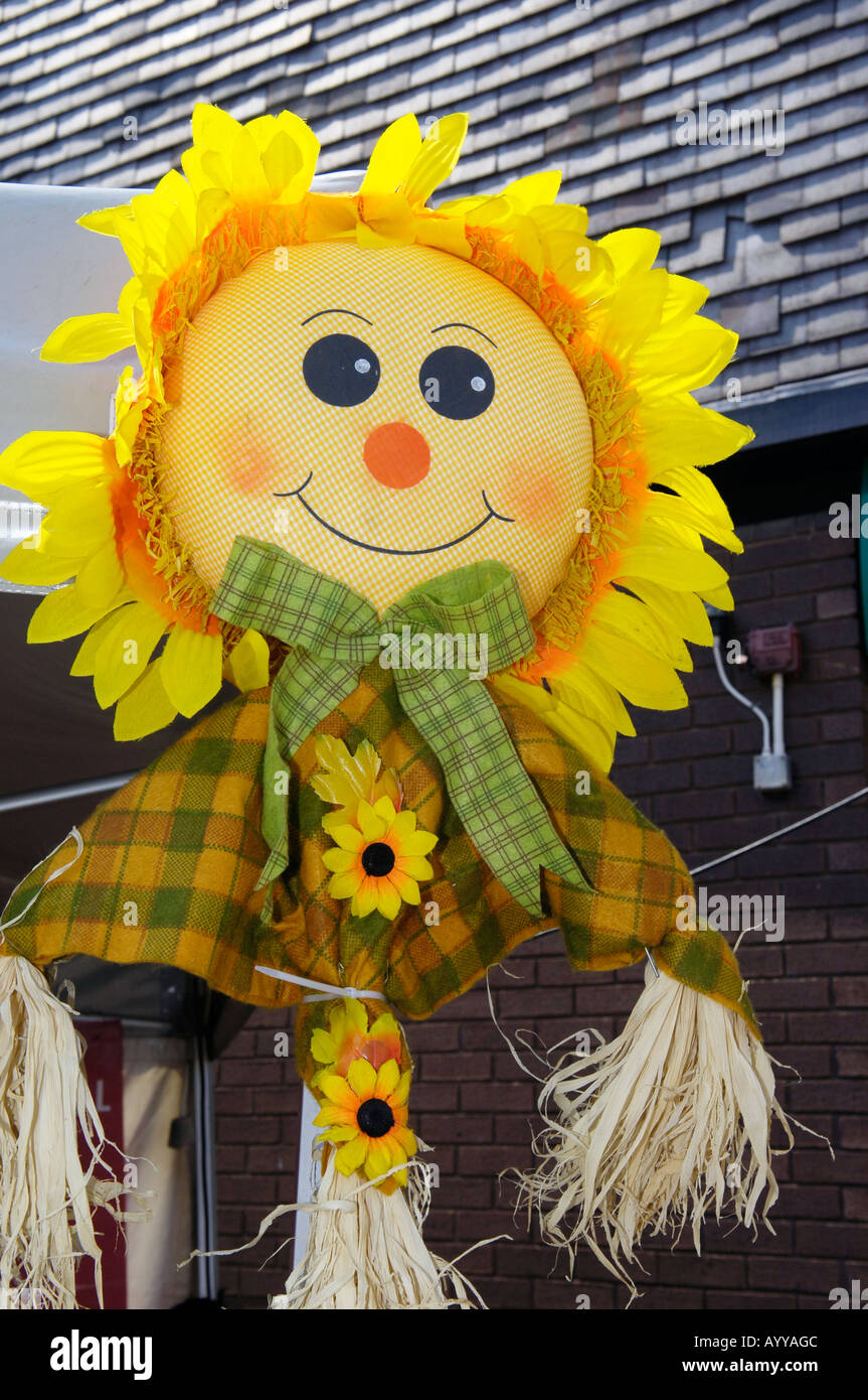 Are rag doll hires stock photography and images Alamy