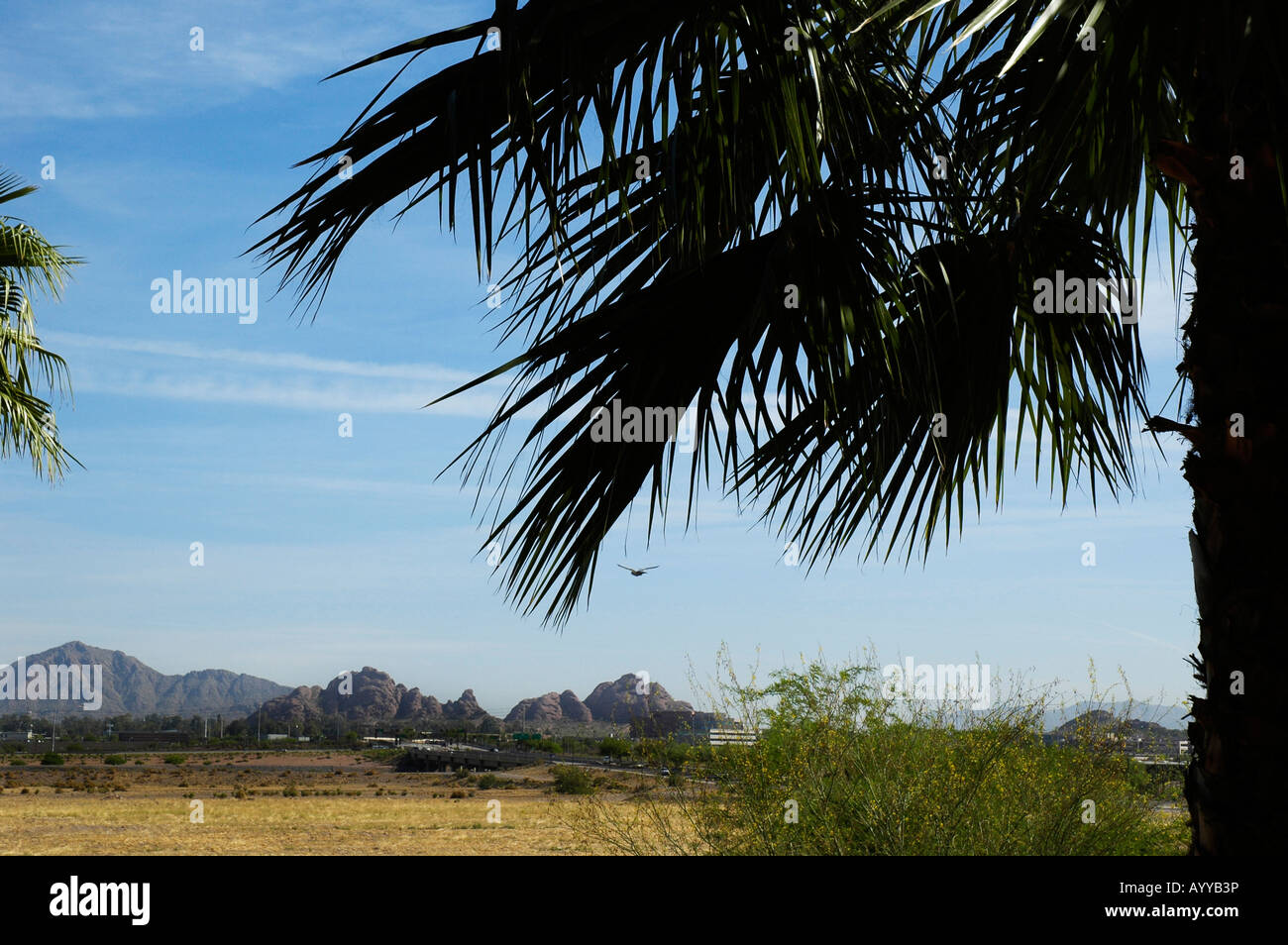 surrounding desert landscape outside Tempe AZ Stock Photo Alamy