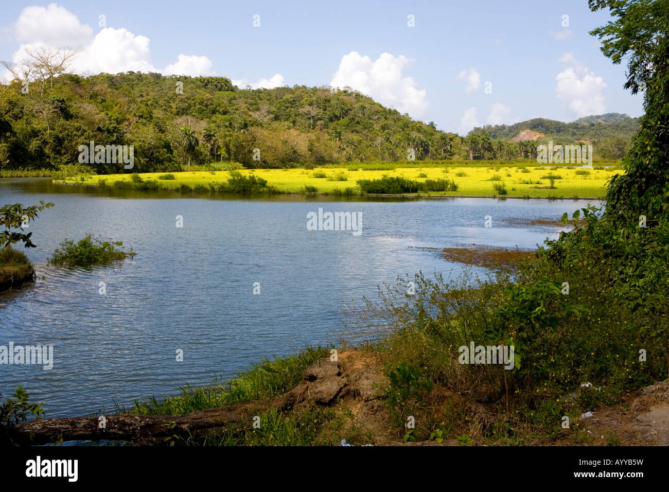 Parque Nacional Camino de Cruces Panama Stock Photo