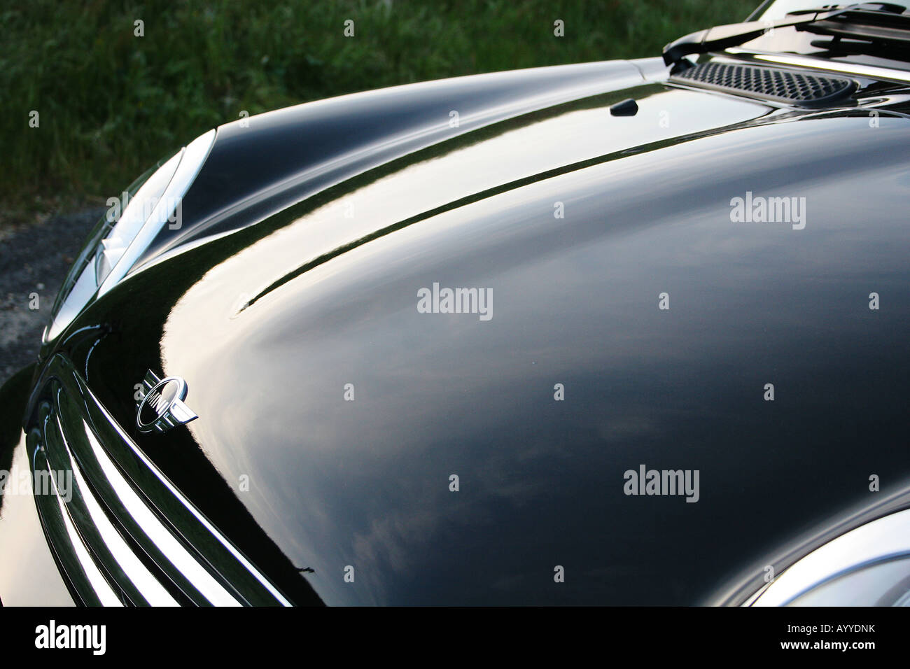 Detail of the of mini cooper Stock Photo Alamy