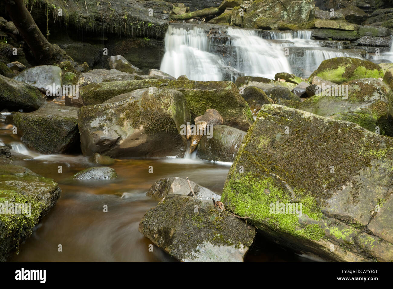 Mill Gill Force near Askrigg Yorkshire Dales Stock Photo