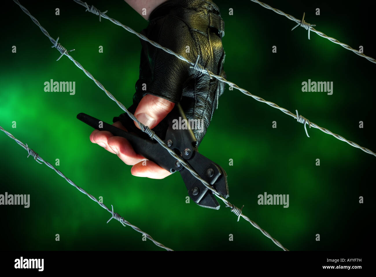 Barb wire being cut Stock Photo Alamy