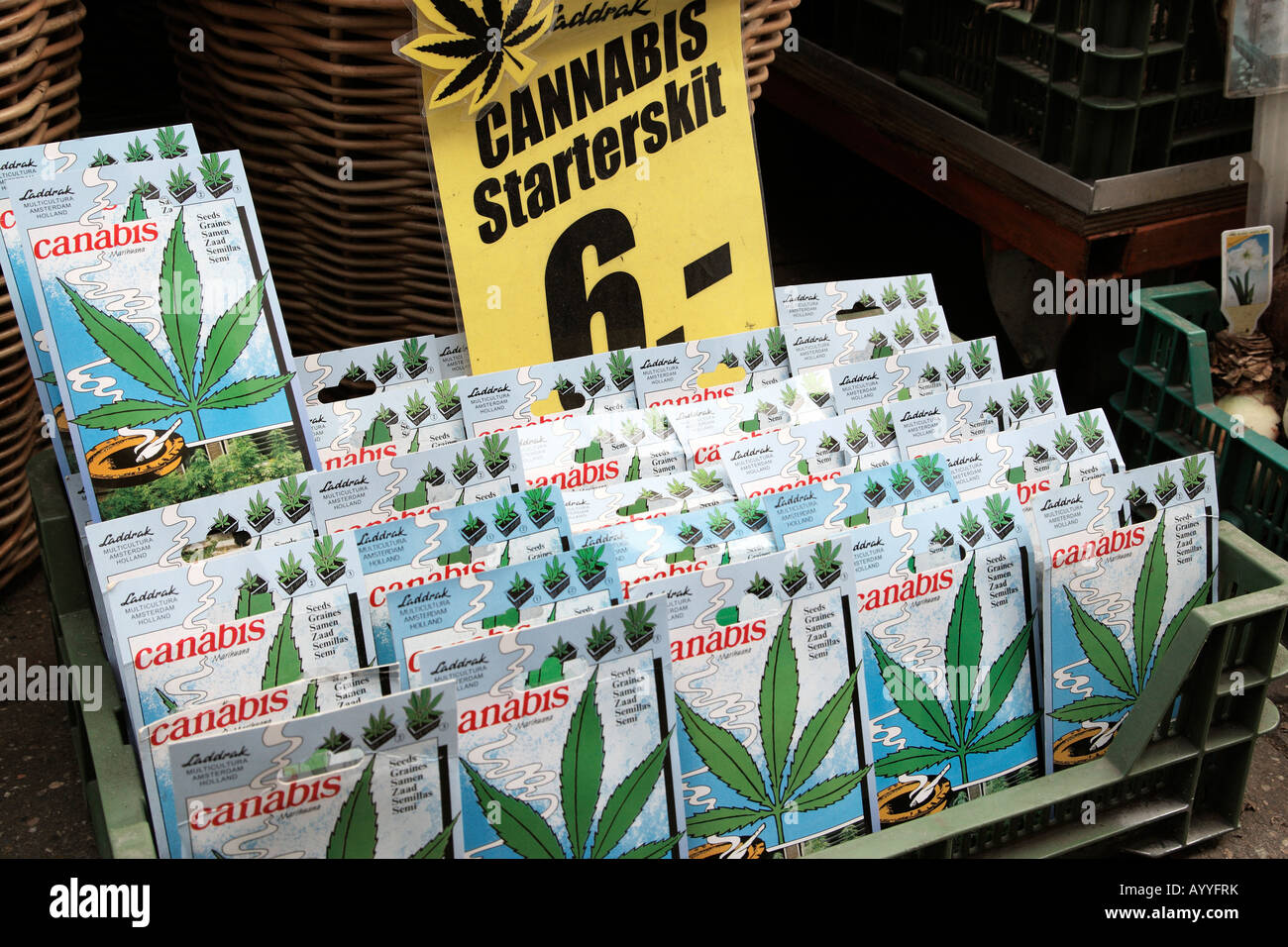 cannabis starter kits for sale in the bloemenmarkt amsterdam netherlands north holland europe Stock Photo