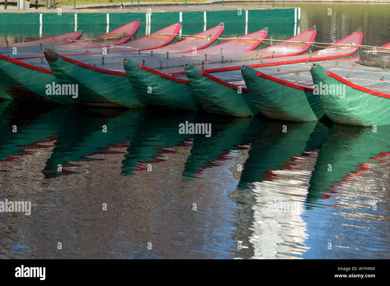 The hulls of the famous swan boats in Boston's Public Garden prepared