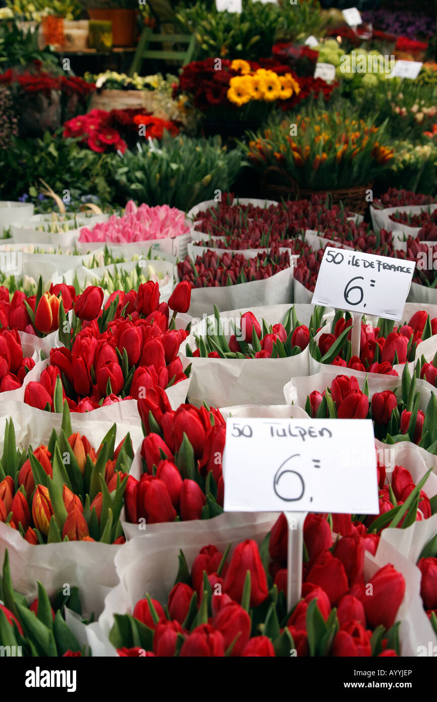 Bloemenmarkt flower market amsterdam netherlands hires stock