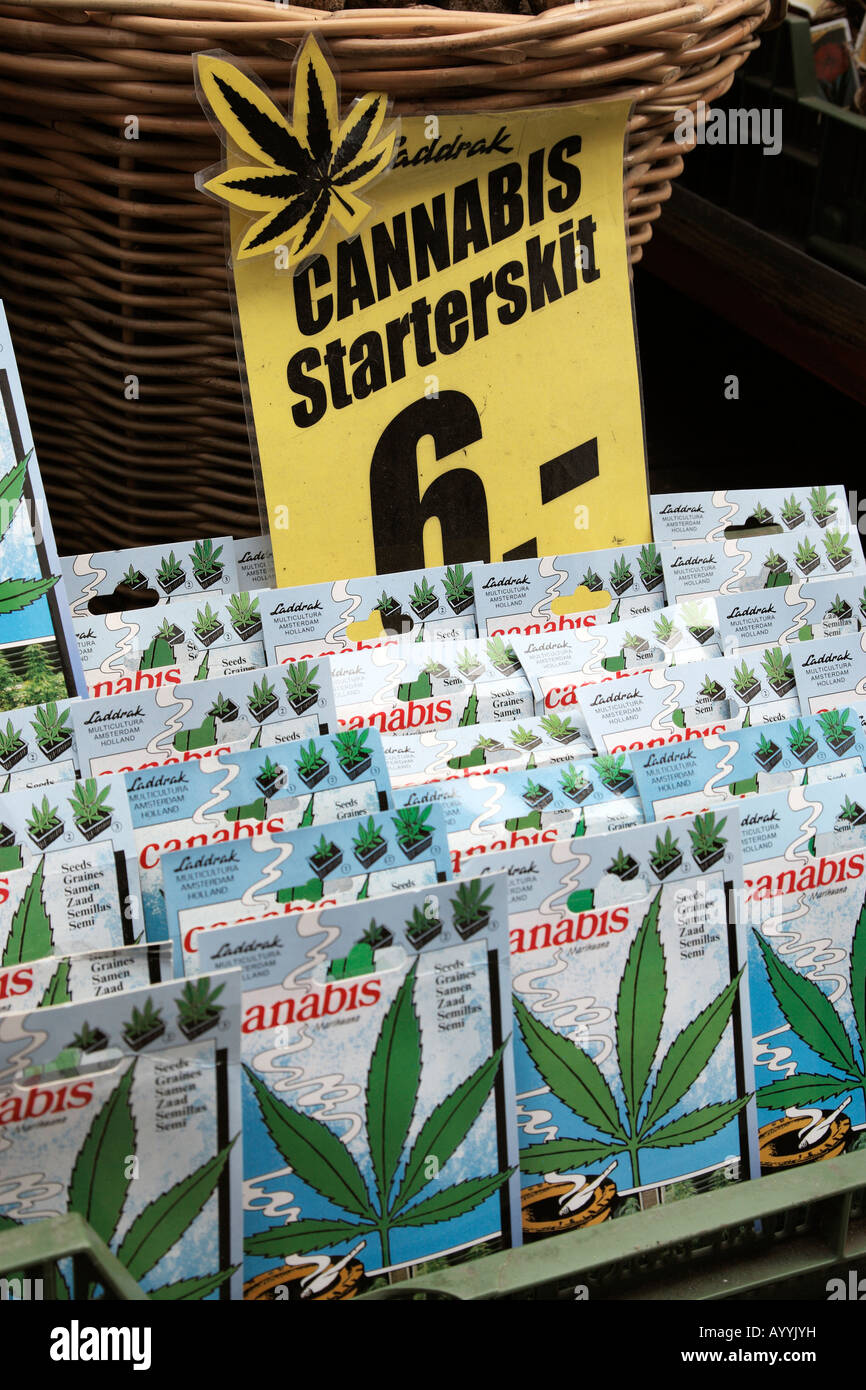 cannabis starter kits for sale in the bloemenmarkt amsterdam netherlands north holland europe Stock Photo