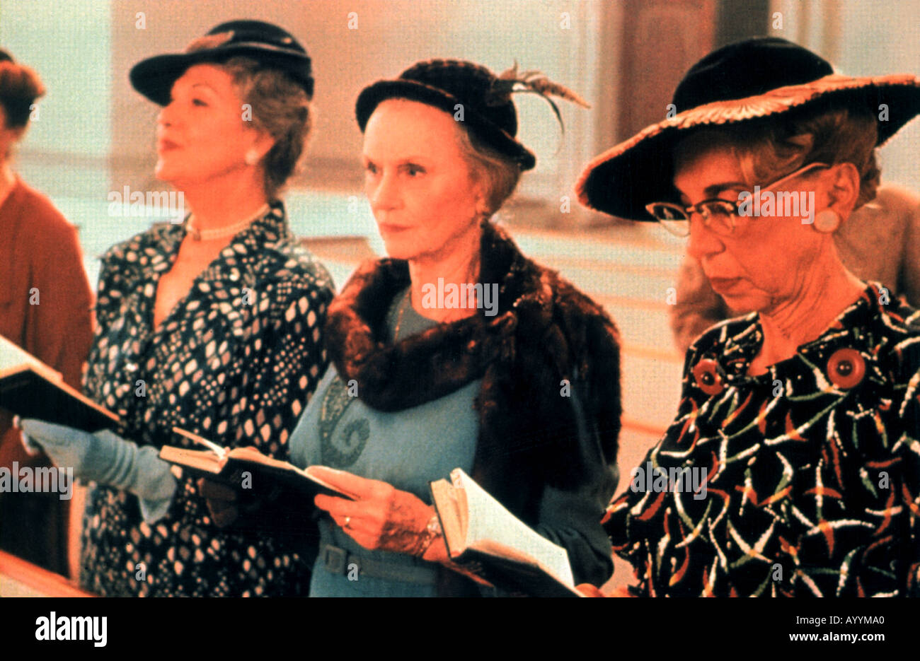 Miss Daisy High Resolution Stock Photography And Images Alamy