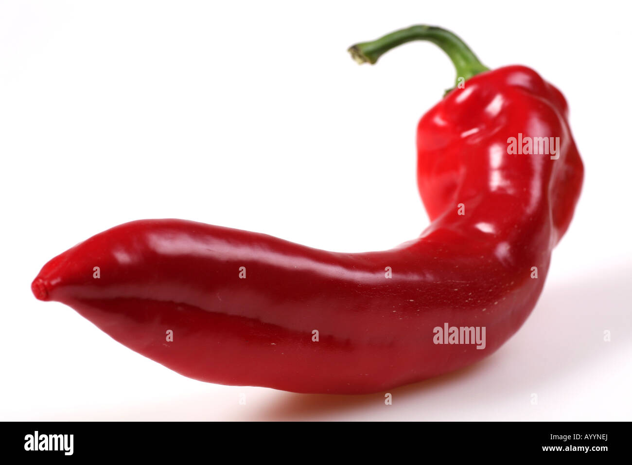 Red Chili pepper Stock Photo Alamy