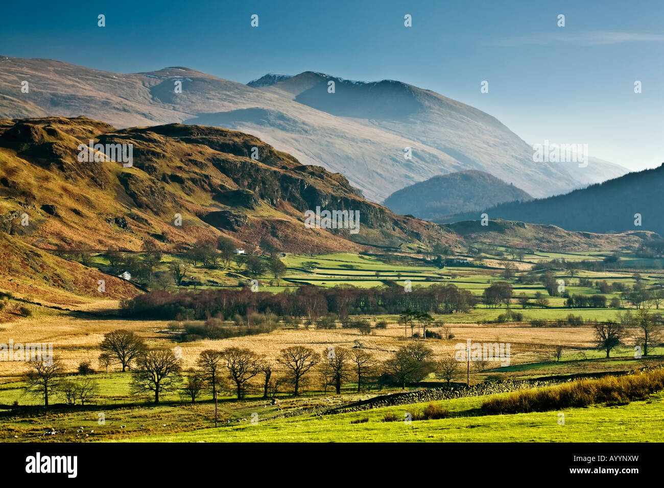 High Rigg Farm Low rigg high rigg dale hi-res stock photography and images - Alamy