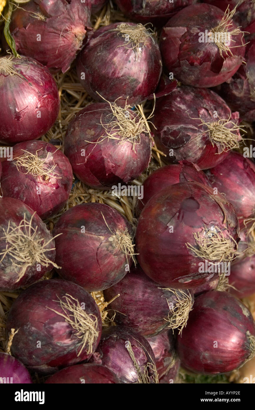 Healthy foods onions hi-res stock photography and images - Alamy