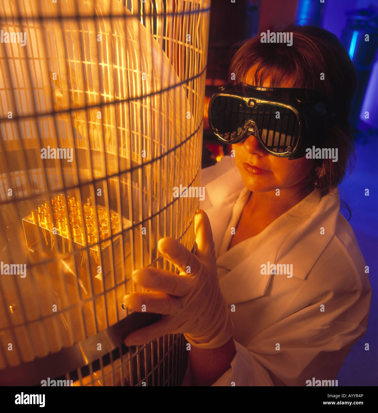 Female technology technician, monitoring gold plating process, using a vacuum chamber for electronic components, wearing safety Stock Photo