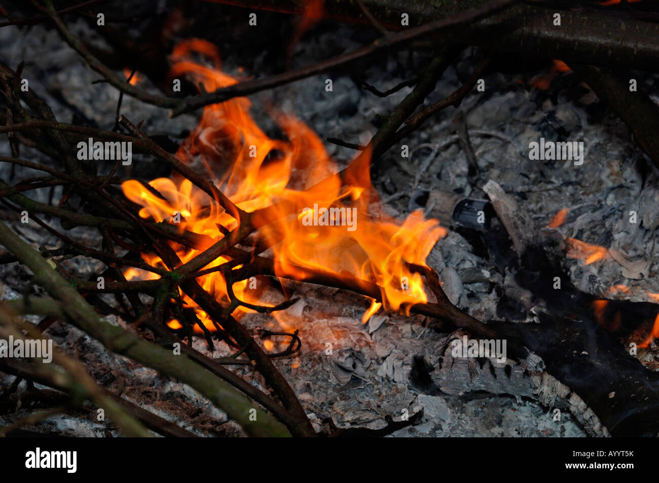 A Garden Bonfire Stock Photo Alamy