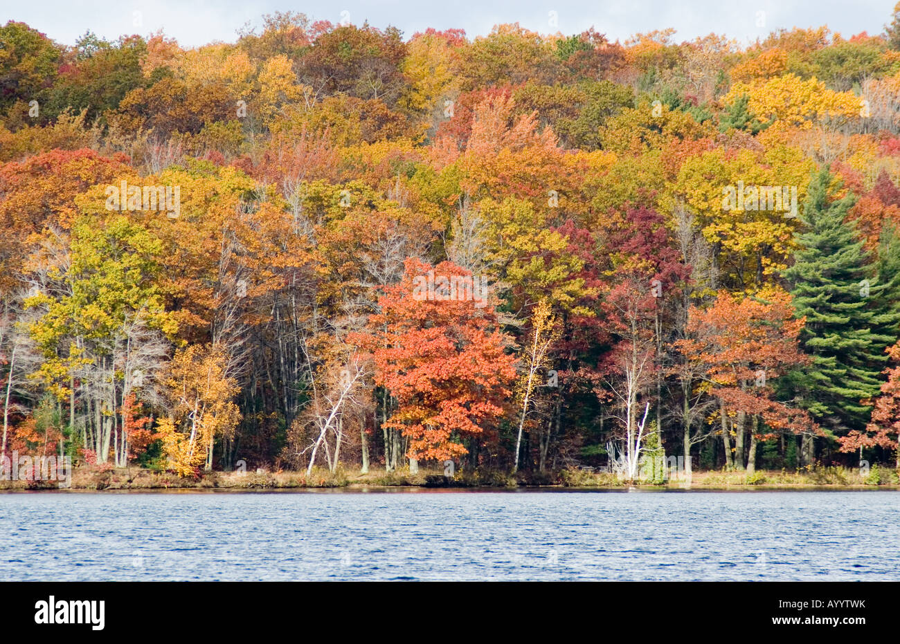 Fall colors on the Au Sable River outside of Au Sable, Michigan Stock ...