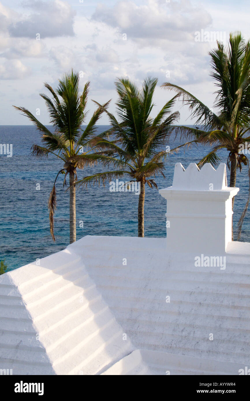 Palm trees, a lime wash roof and chimney of a private home on south shore, Bermuda Stock Photo