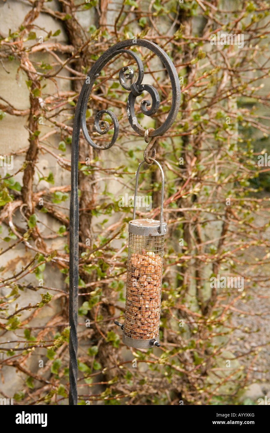 Peanut bird feeder Northumberland, England. Stock Photo