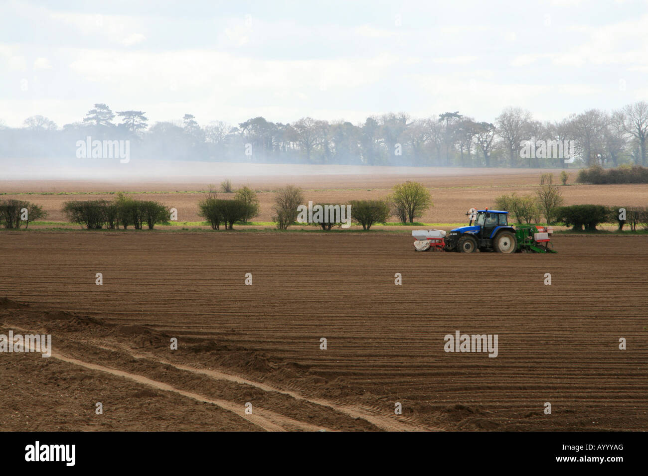 norfolk tractor working freshly ploughed fields in spring norfolk east