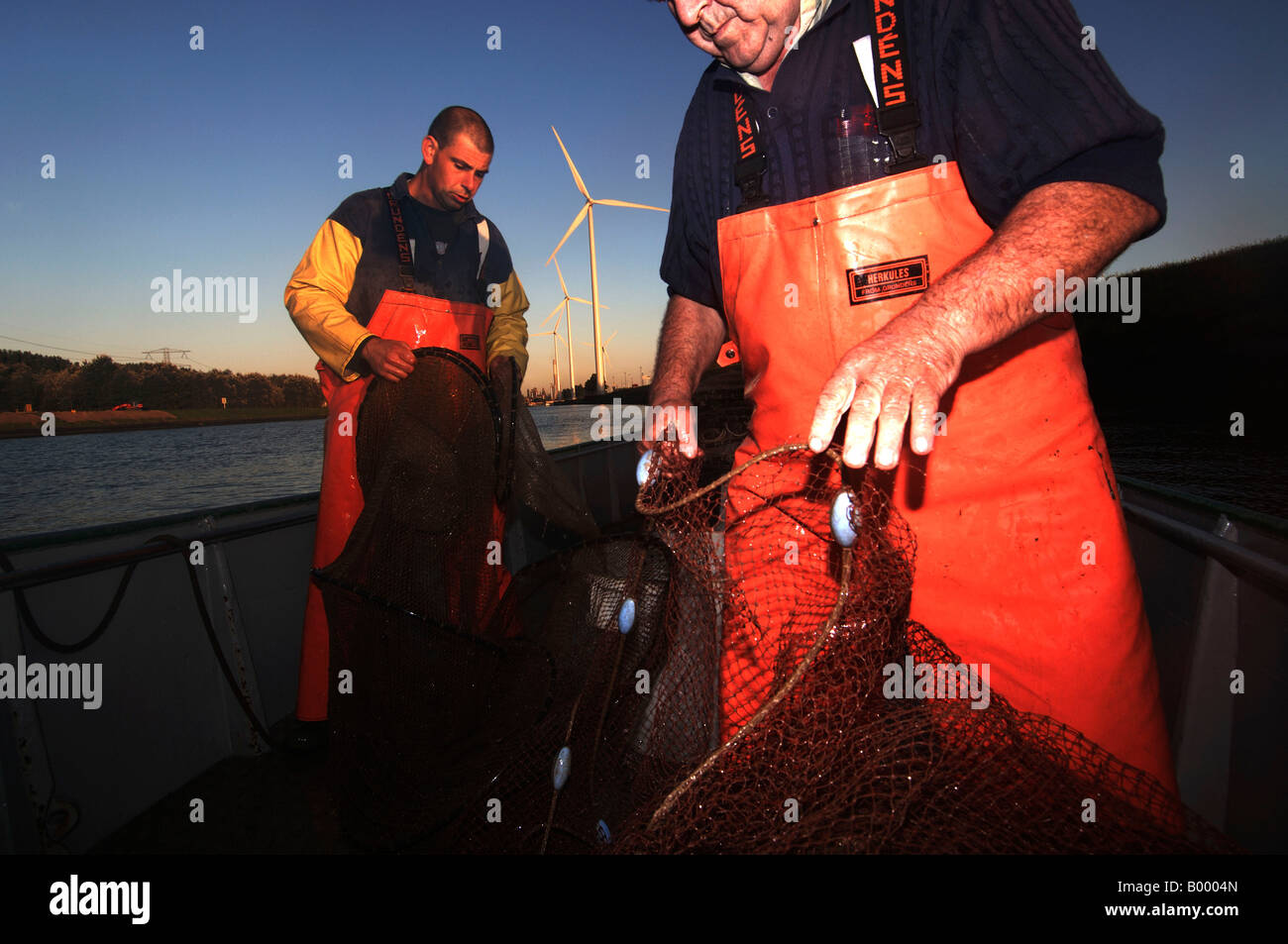 Port of Rotterdam eel fishing collecting the nets Stock Photo Alamy