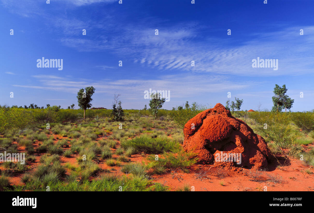 Termite mound Pilbara Western Australia Stock Photo