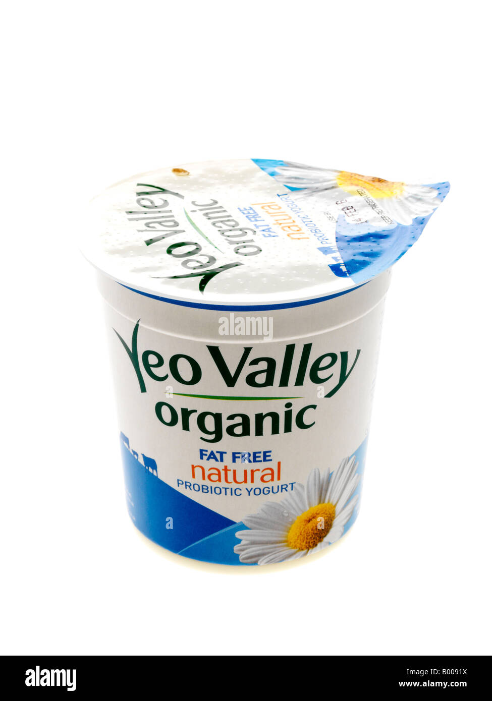 Buy Henna Fat Free Natural Set Yoghurt-1x10kg - Order Online From JJ