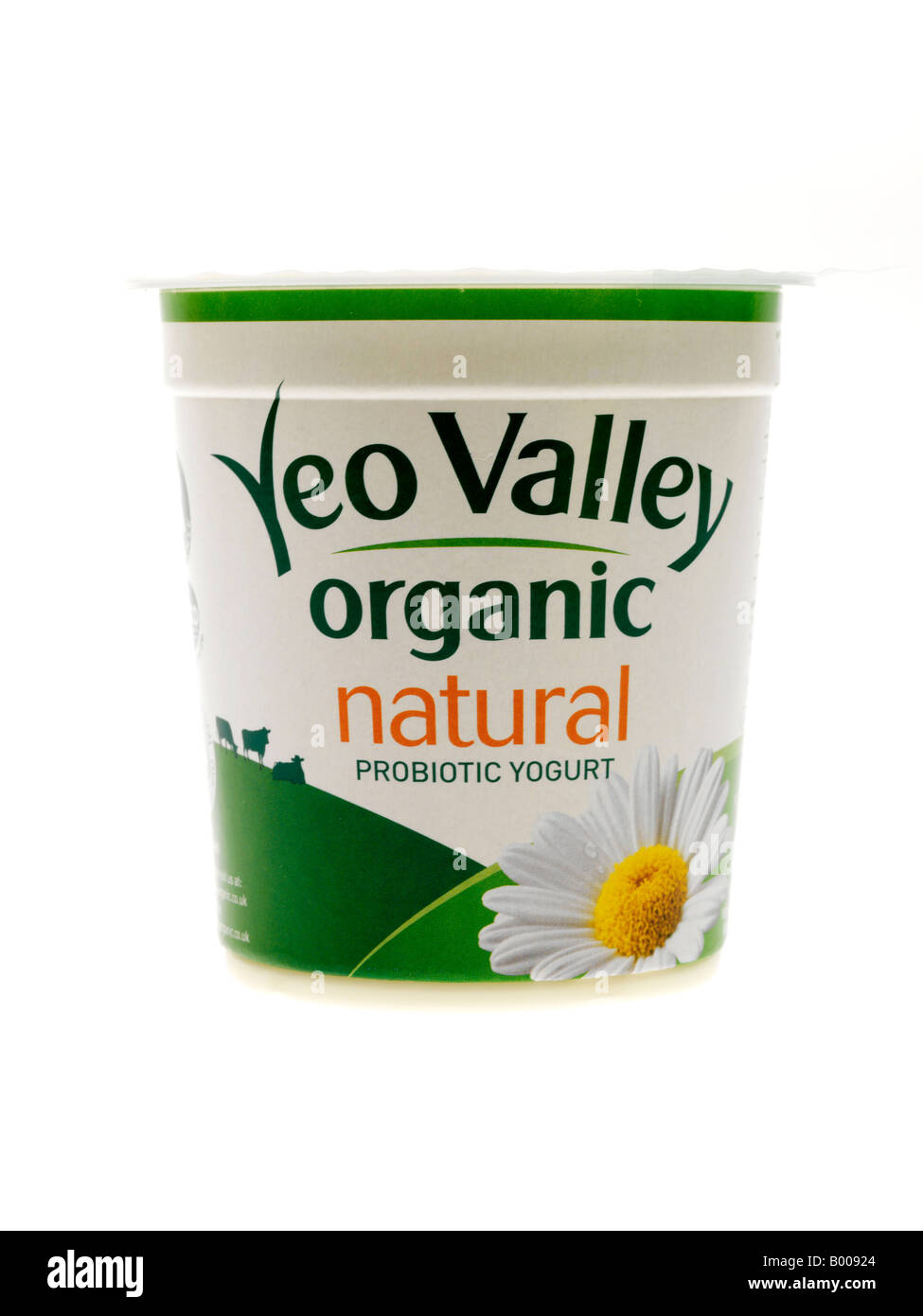 Organic Natural Yogurt Stock Photo Alamy
