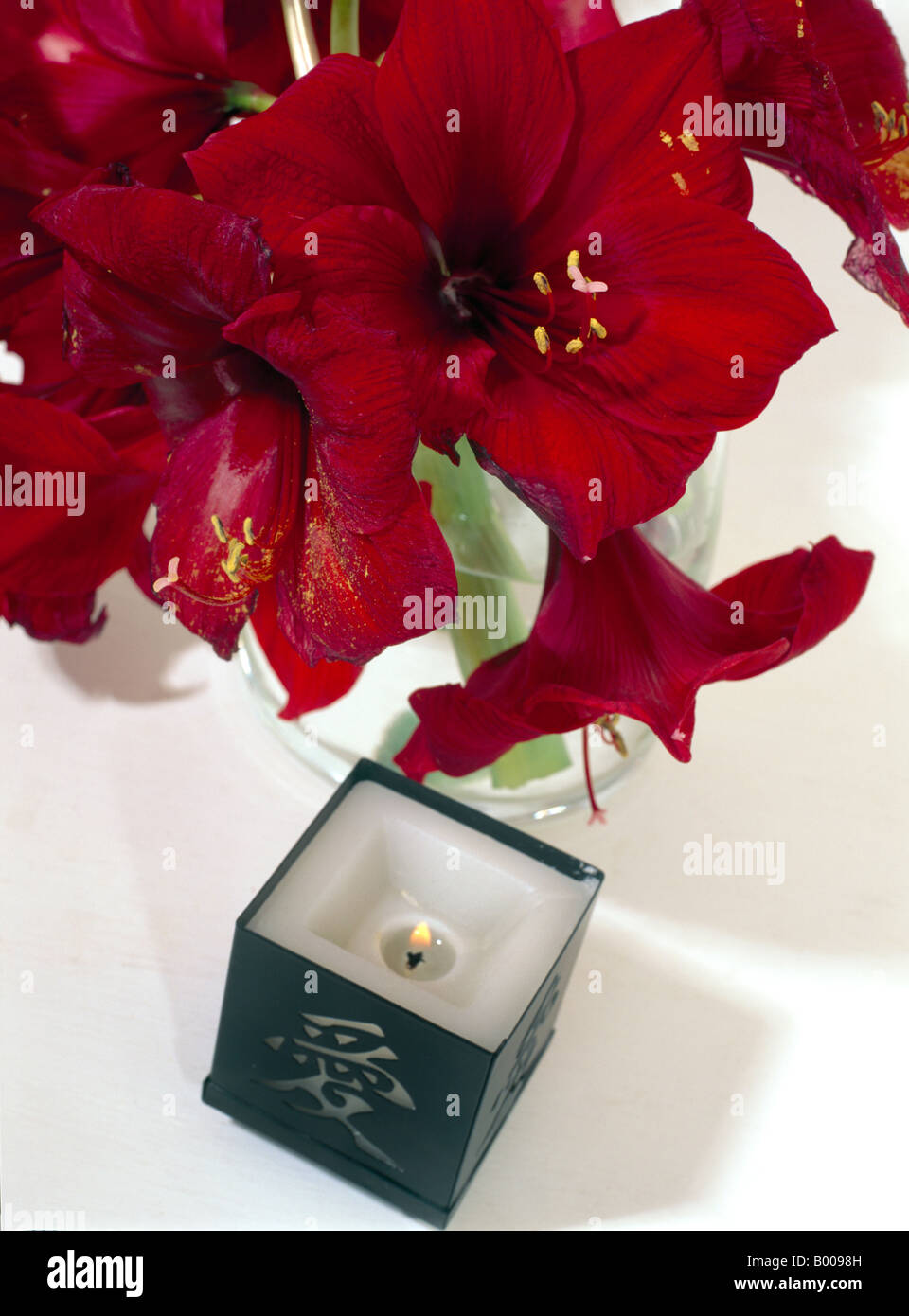 Feng Shui Candle with Calligraphy & Red Amarylis Stock Photo