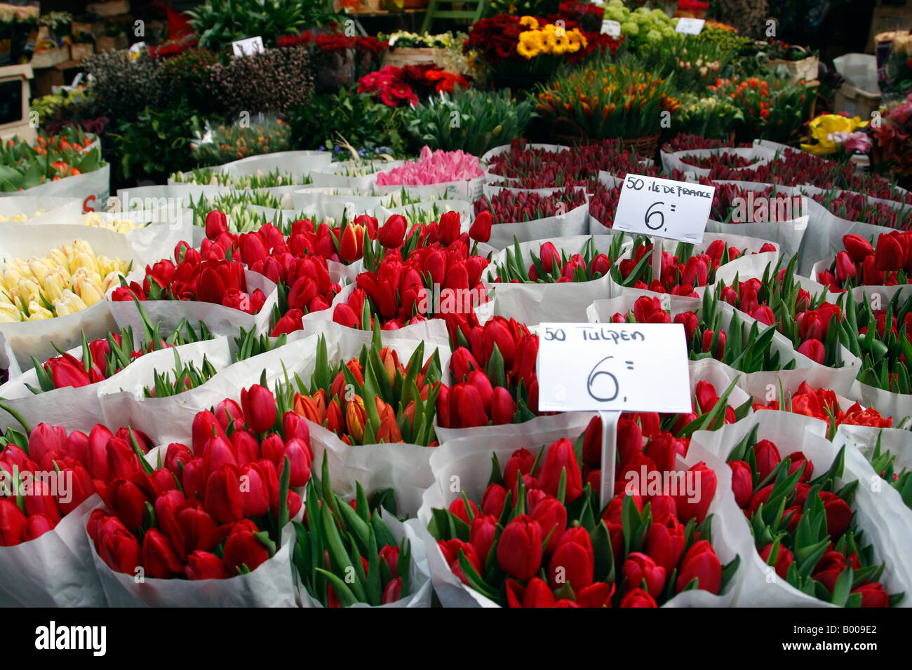 flowers for sale in the bloemenmarkt last of the citys floating markets singel amsterdam netherlands north holland europe Stock Photo