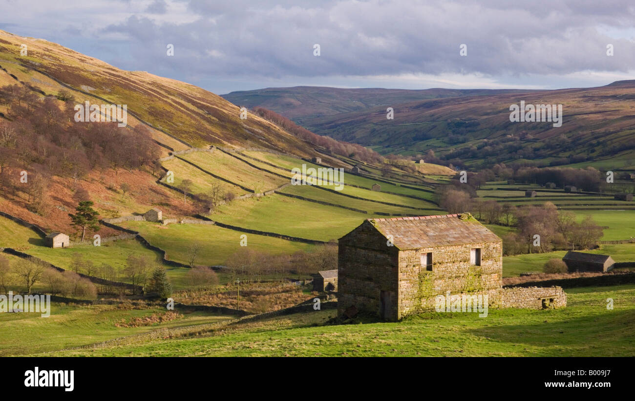 Yorkshire Dales National park Swaledale Yorkshire Traditional Stone barns in Upper Swaledale near Keld Yorkshire Dales North Yorkshire England UK GB Stock Photo