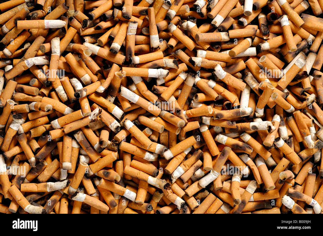 Cigarette butts Stock Photo