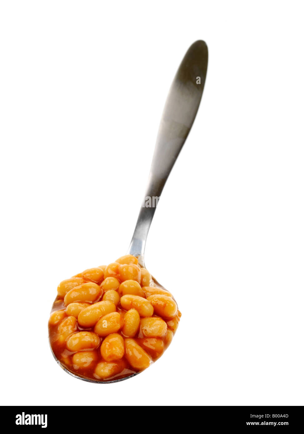 Tablespoon of Baked Beans In Tomato Sauce Isolated Against A White