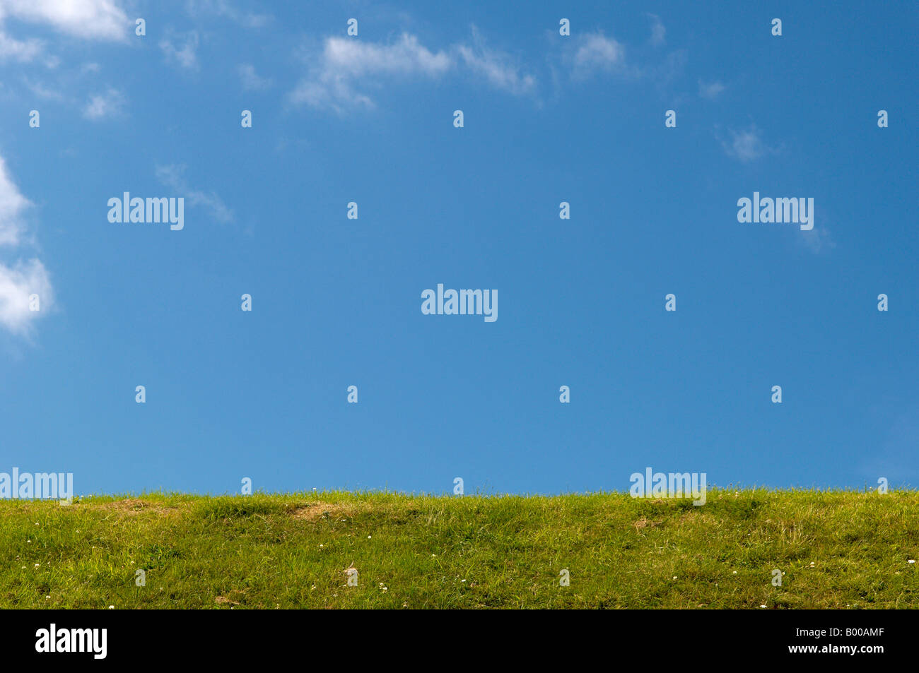 Bright blue sky with white fluffy clouds and green grass Stock Photo ...