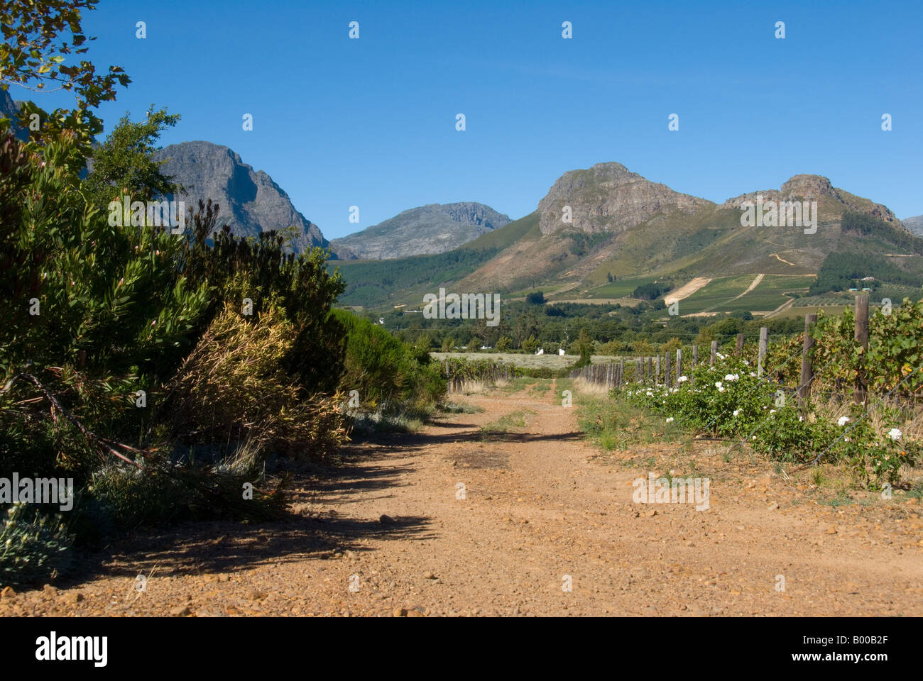 Beautiful landscape of the Franschhoek area in South Africa Stock Photo