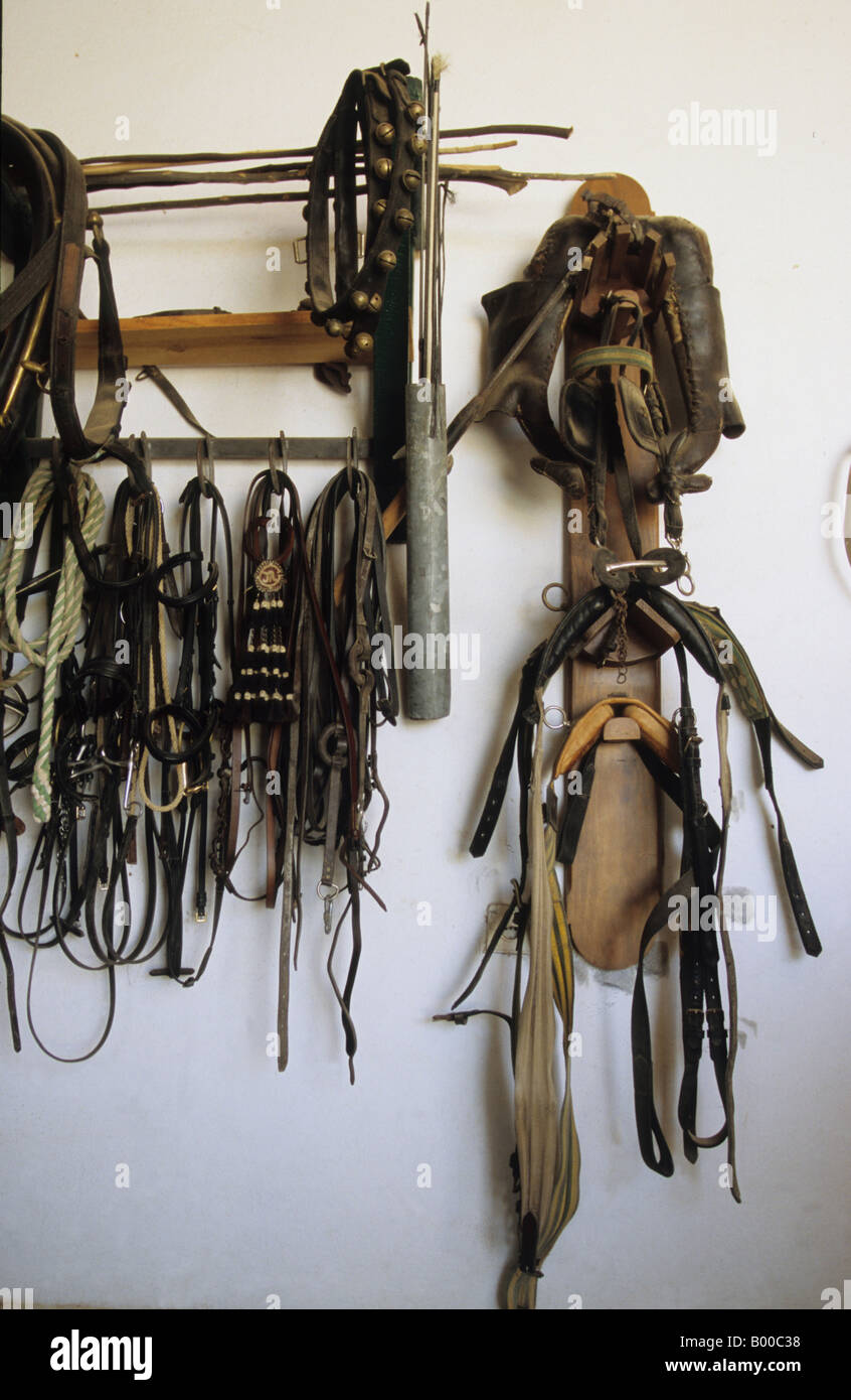 Bridles and other equipment Stock Photo