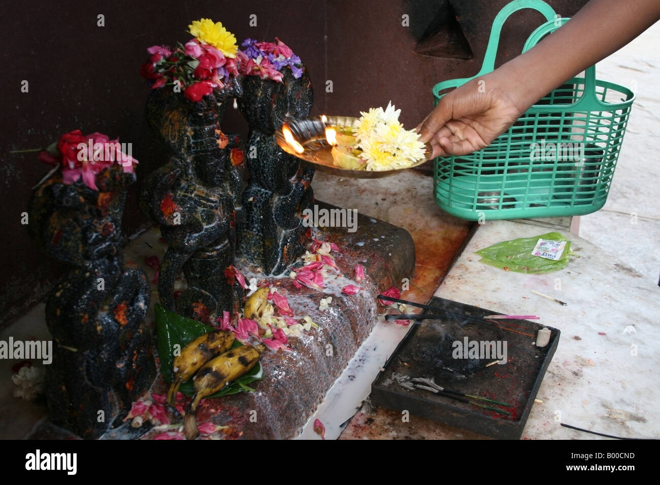 Flower puja being offered to a Naga shrine in South India Stock Photo