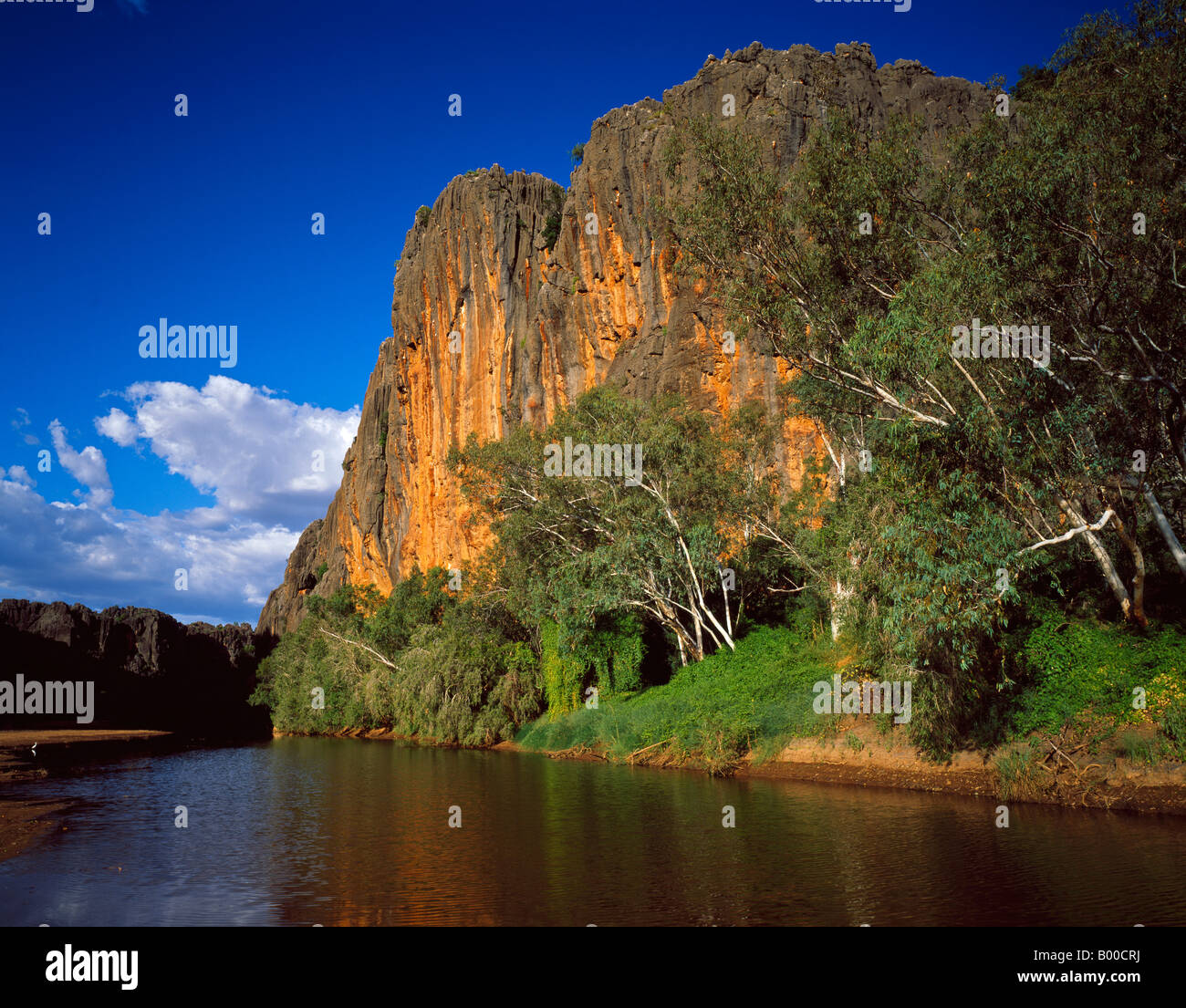 Waterhole on the Lennard River at Windjana Gorge Kimberley Region Western Australia Stock Photo