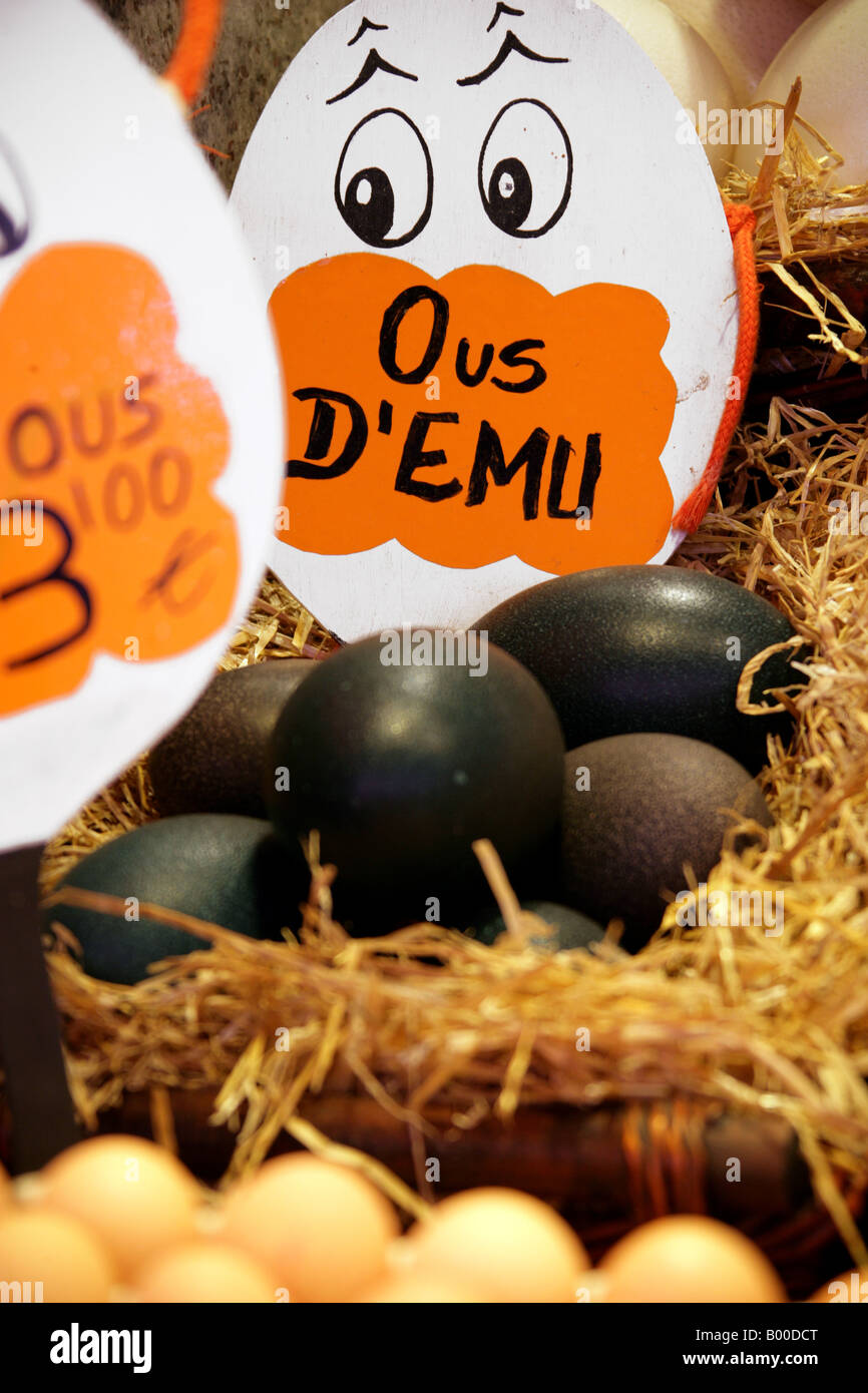 Emu Eggs for Sale. Mercat de La Boqueria Food Market, Barcelona, Spain Stock Photo