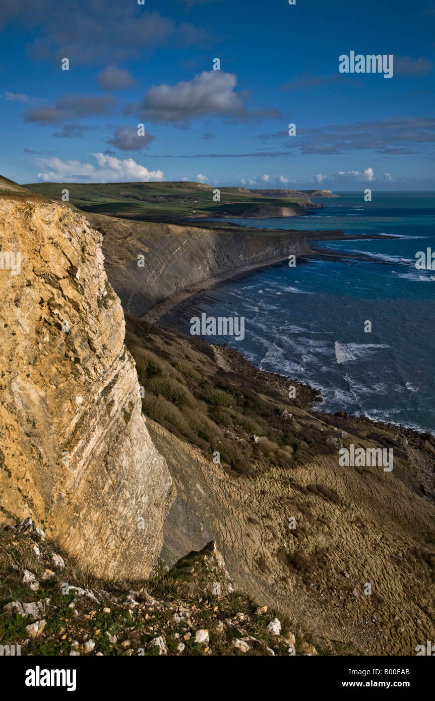 The Dorset Coast looking East towards St.Aldhelms, or St Albans Head, from Worbarrow Stock Photo