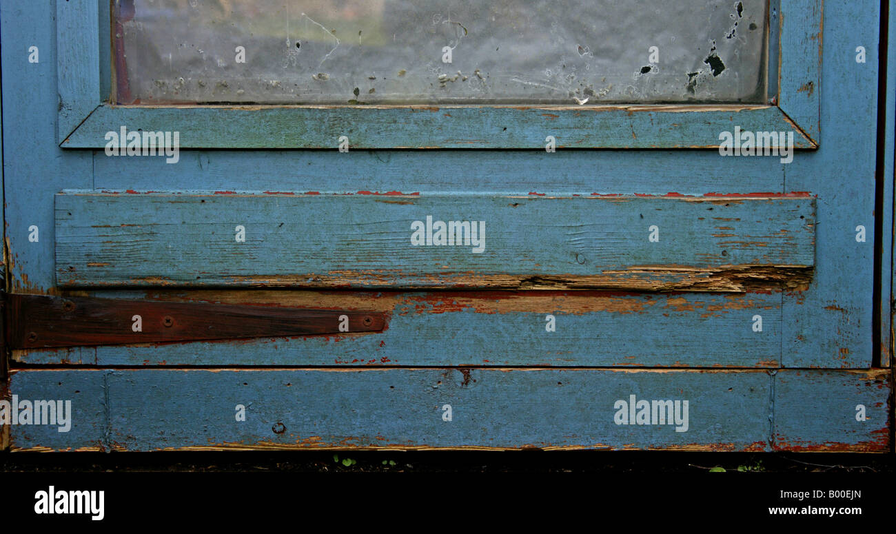 Rotting wood on the door of a garden shed Stock Photo