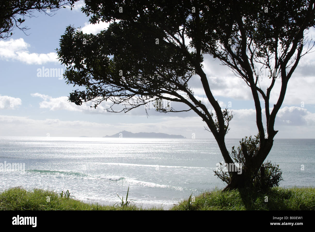 New Zealand North Island Stock Photo - Alamy