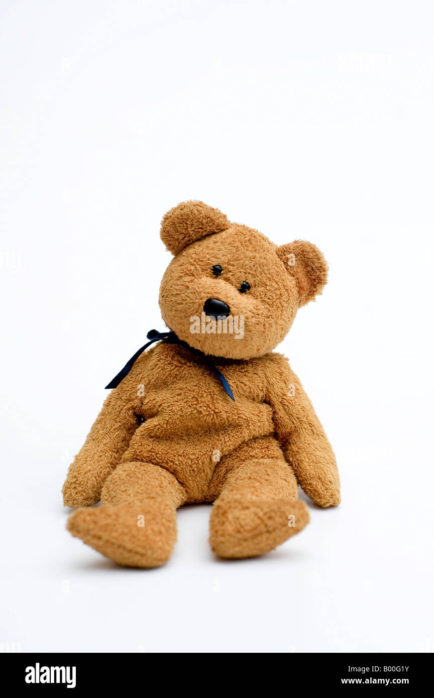 Teddy Bear Sat On A White Background Stock Photo - Alamy