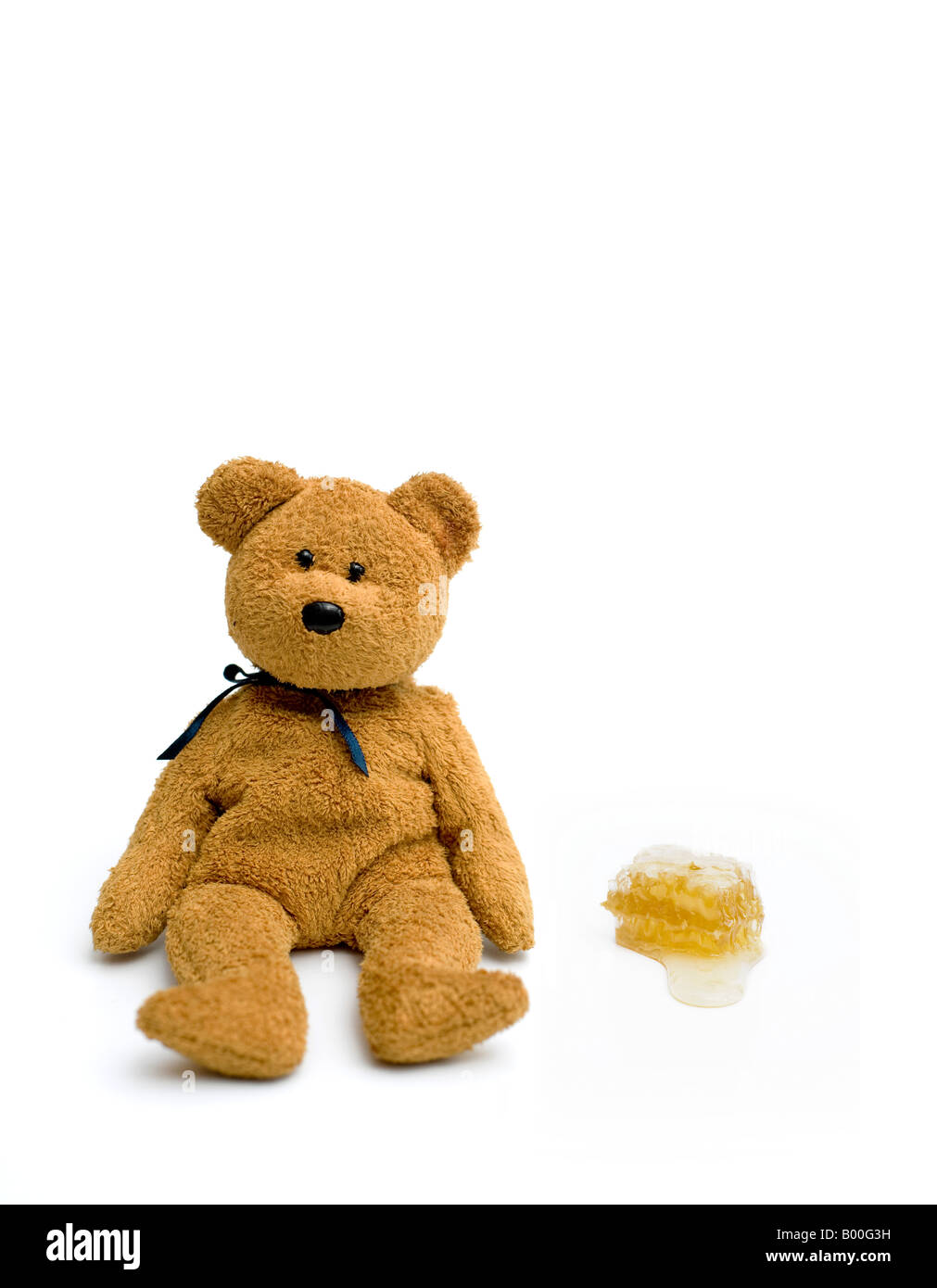 Teddy bear sat next to honeycomb on a white background Stock Photo