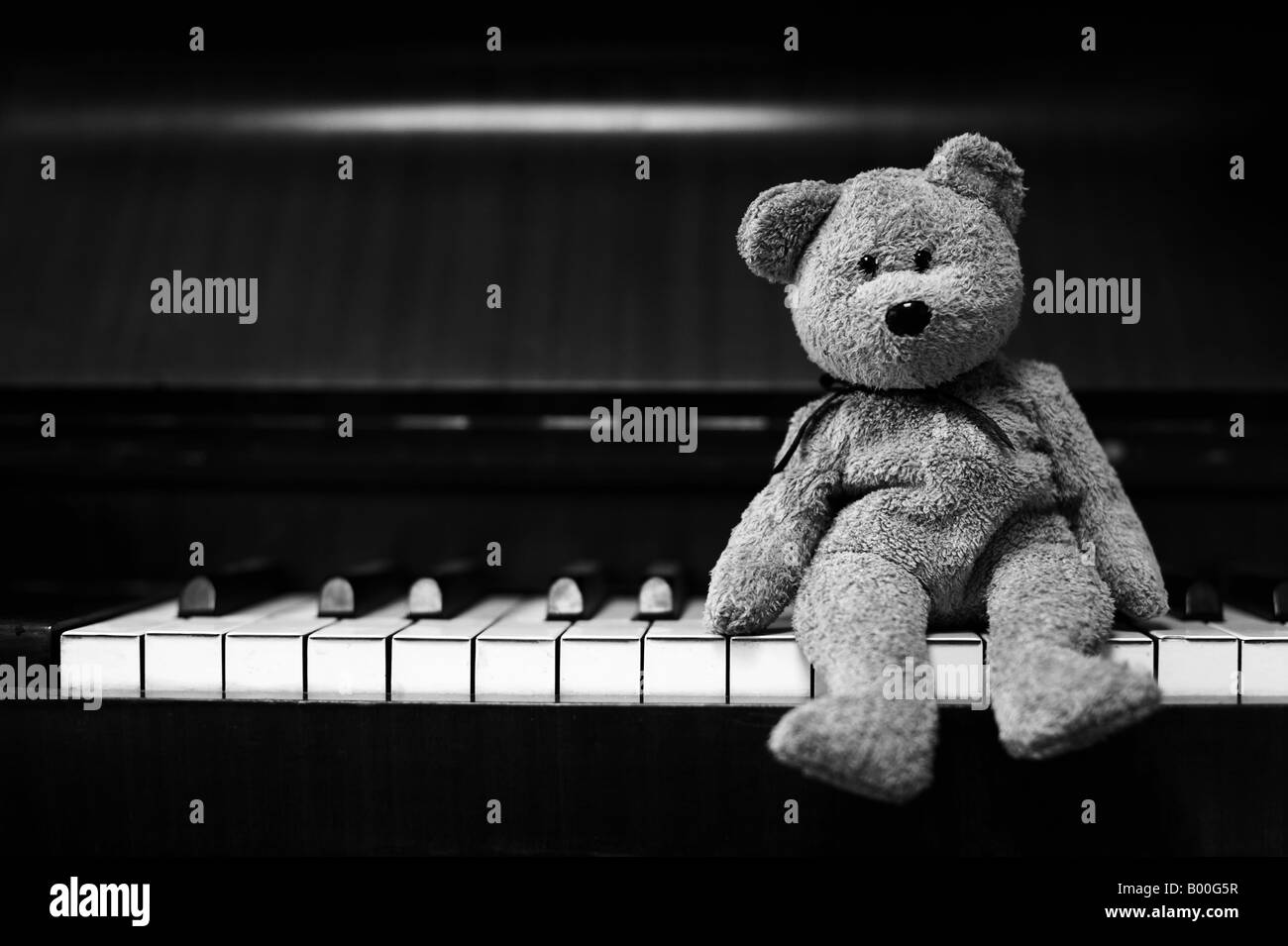 Teddy bear sitting on piano keys Stock Photo