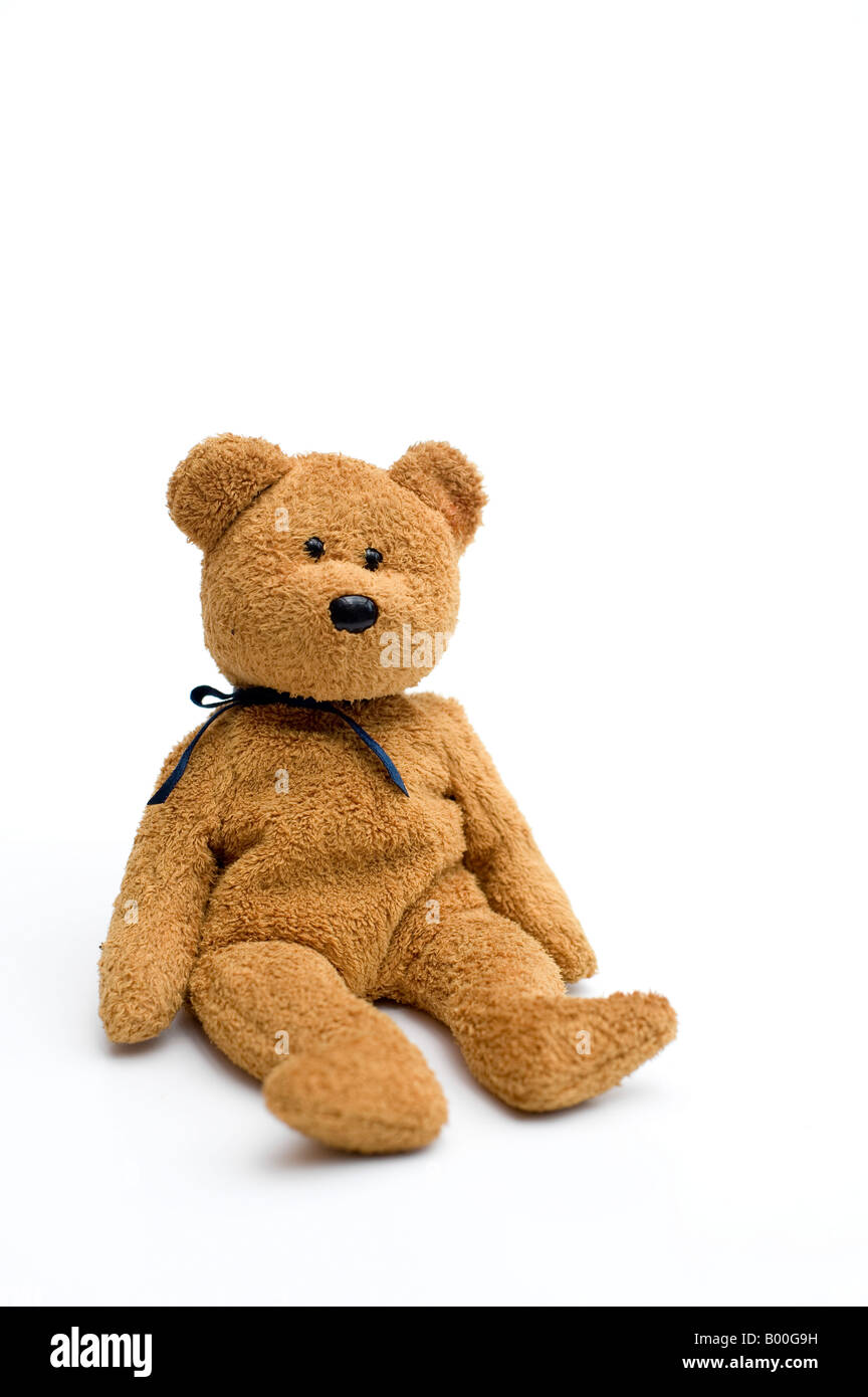 Teddy bear sat on a white background Stock Photo