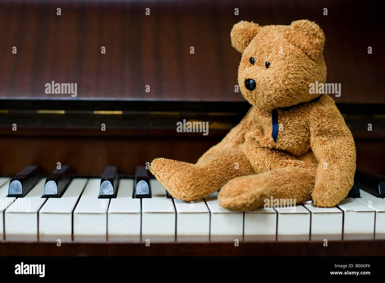 Teddy bear sitting on piano keys Stock Photo